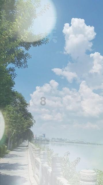 雨后盛放